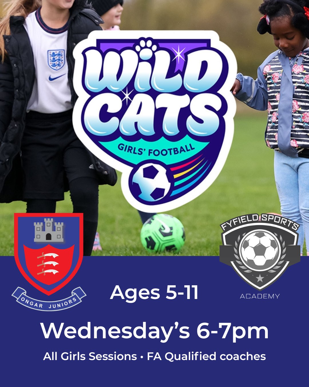 Wild Cats